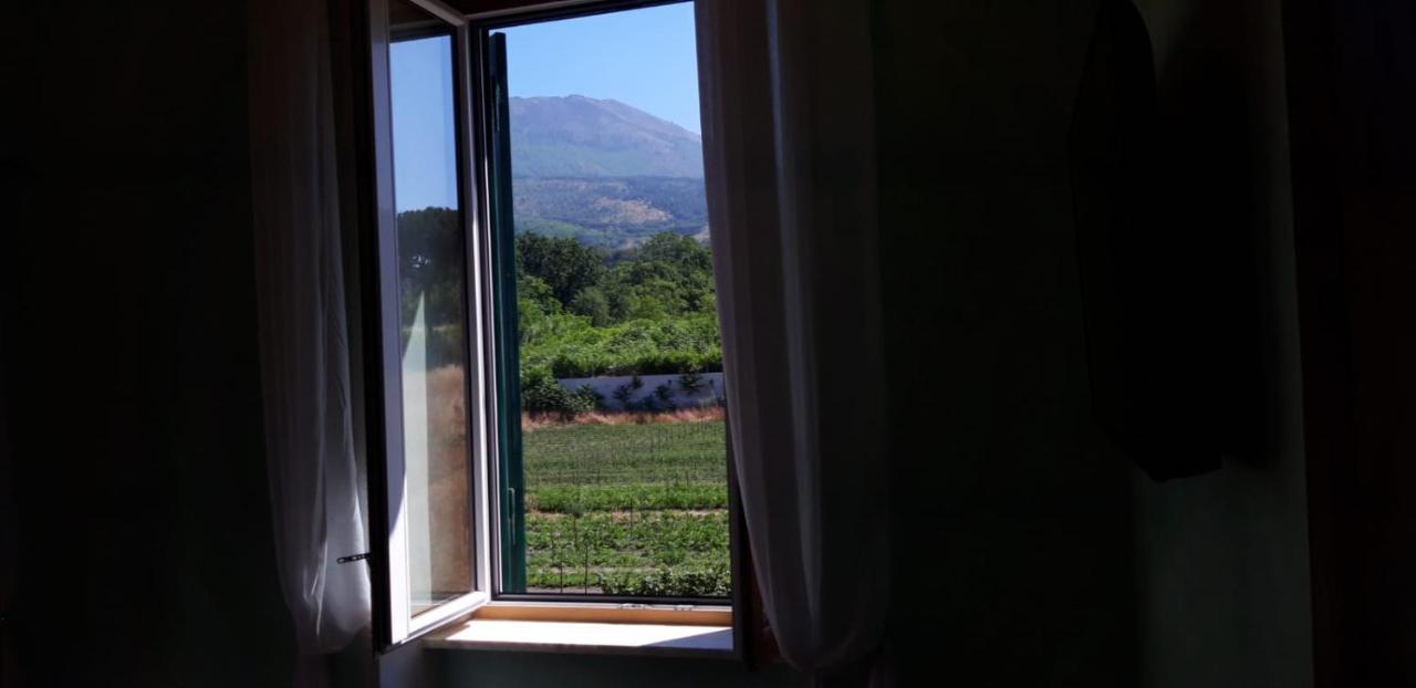 Villa Mazza Al Vesuvio Torre del Greco Exteriér fotografie